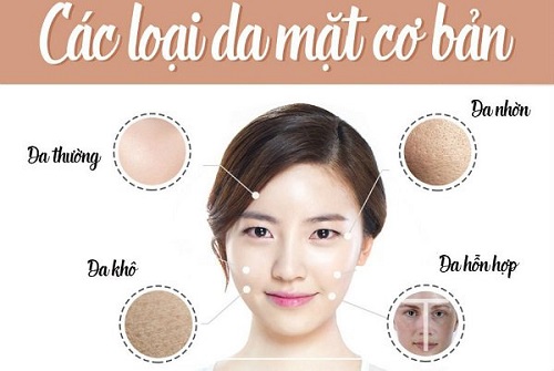 Hiểu biết về da: da thường, da dầu, da khô và da hỗn hợp 1 cac loai da mat