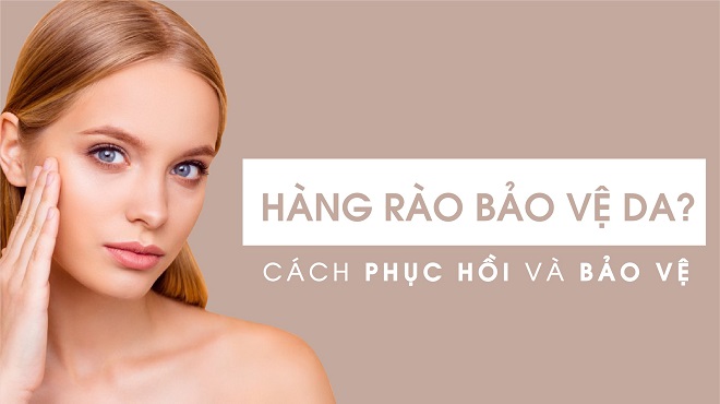 LÀM THẾ NÀO ĐỂ SỬA CHỮA HÀNG RÀO BẢO VỆ DA BỊ HƯ HẠI VÀ KHÔI PHỤC 1 hang rao bao ve da anh bia