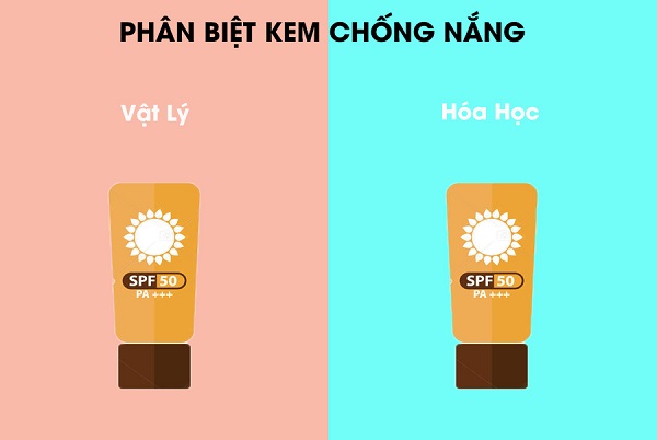 Kem chống nắng hóa học và kem chống nắng vật lý - Cách chọn kem chống nắng phù hợp cho bạn 1 phan biet kcn