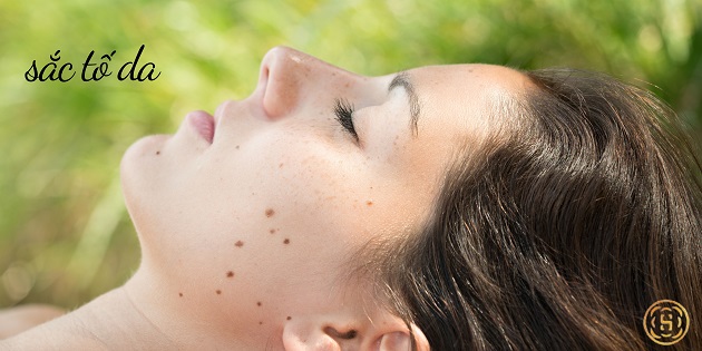 KOJIC ACID HAY ARBUTIN ? CÁI NÀO TỐT HƠN CHO SẮC TỐ DA? 1 sac to da