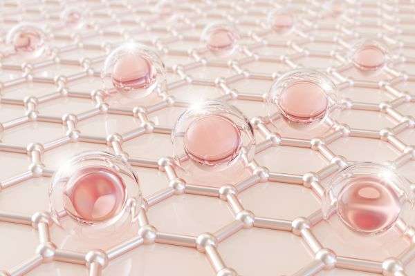 Mọi thứ bạn cần biết về hàng rào bảo vệ da 1 lan da 1