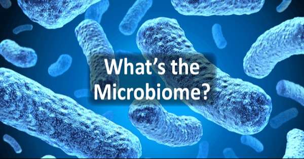 MICROBIOME