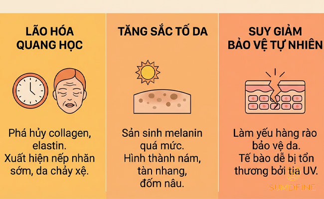 Tác hại khi không dùng kem chống nắng lúc 5h chiều