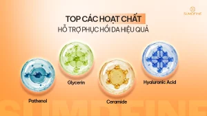 Hoạt chất phục hồi da