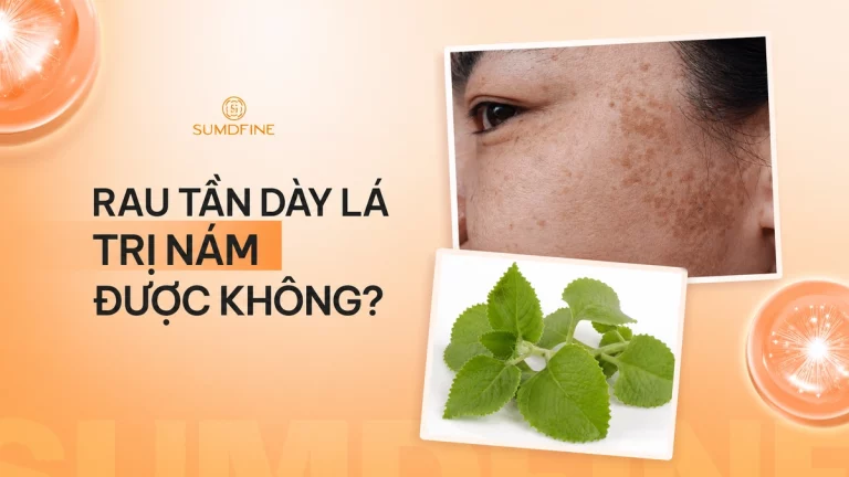 Rau tần dày lá có trị nám được không? Cách dùng đúng như thế nào?