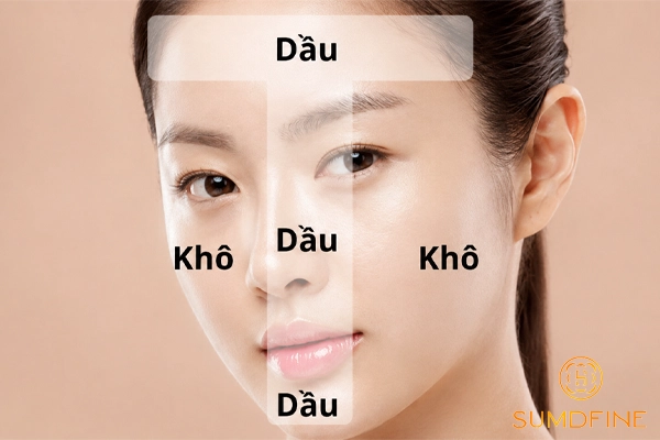 Da vừa dầu vừa khô là da gì? Cách nhận biết & Chăm sóc hiệu quả 2 Nhận biết da vừa dầu vừa khô (da hỗn hợp)